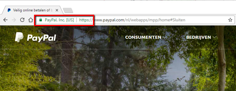 SSL weergave bij Paypal